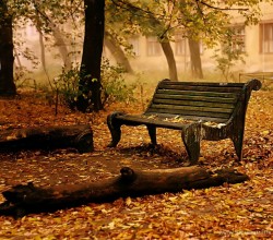 5-nature-wallpaper-autumn-fall