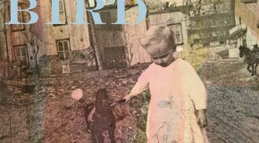 Andrew Bird Reveals “Break It Yourself” Artwork and Track Listing