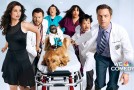 TV First Impression: “Animal Practice”