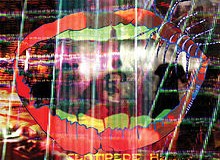 Spin Cycle: Animal Collective, Centipede Hz