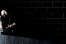 The Life and Times of “Comfortably Numb”