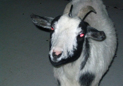 Hellgoat