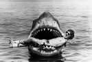 The Great Summer Movies: A Perfect Engine