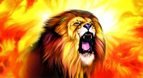 Rebirth of Gamblor – Week 2 NFL Picks