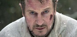 Liam-Neeson-Grey-Movie