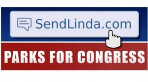 Democracy Is Coming!: How One Candidate’s Declaration of Independence Might Shake Up Congress