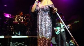 Spin Cycle: Macy Gray Talking Book