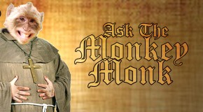 Ask The Monkey Monk!: Any Way You Want It