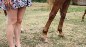 New Video: Eight Belles, “Buried Child”