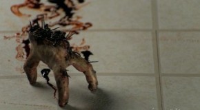 The 31 Days of Halloween, Days 23-24: Splinter & The Host