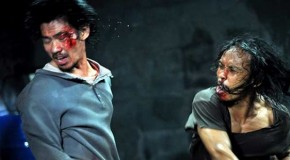 Film Review: “The Raid: Redemption”