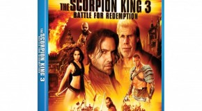 A Cold, Academic Review of “The Scorpion King 3″