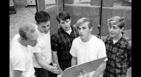 A Fan’s Notes: Jon Stebbins, “The Beach Boys FAQ: All That’s Left To Know About America’s Band”
