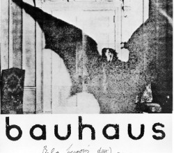 belalugosisdead