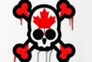 Popdose at Kirkus Reviews: The True North, Punk and Free
