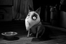 Blu-ray Review: “Peter Pan” and “Frankenweenie”