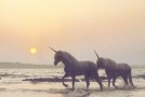 YouTube Roulette: Unicorns!