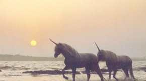 YouTube Roulette: Unicorns!