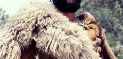 ringo