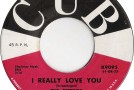 Before We Was Fab: The Stereos, “I Really Love You”