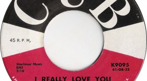 Before We Was Fab: The Stereos, “I Really Love You”