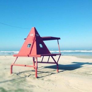 11659438_995540337137474_4811839144513041187_n