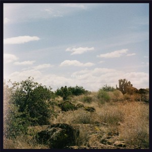 11828837_704015726370257_6081539446921147438_n