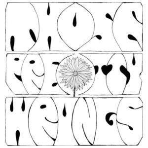 13151576_955757424543817_2629332934138641714_n