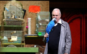 30amurmpic_cleese