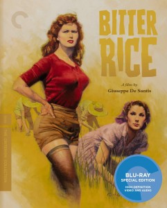 Bitter Rice