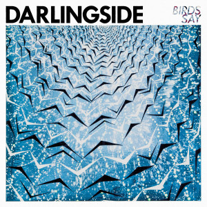 Darlingside-BirdsSay-Front
