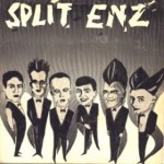 split_enz