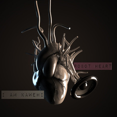 tijuanagiftshop_Kawehicover_1